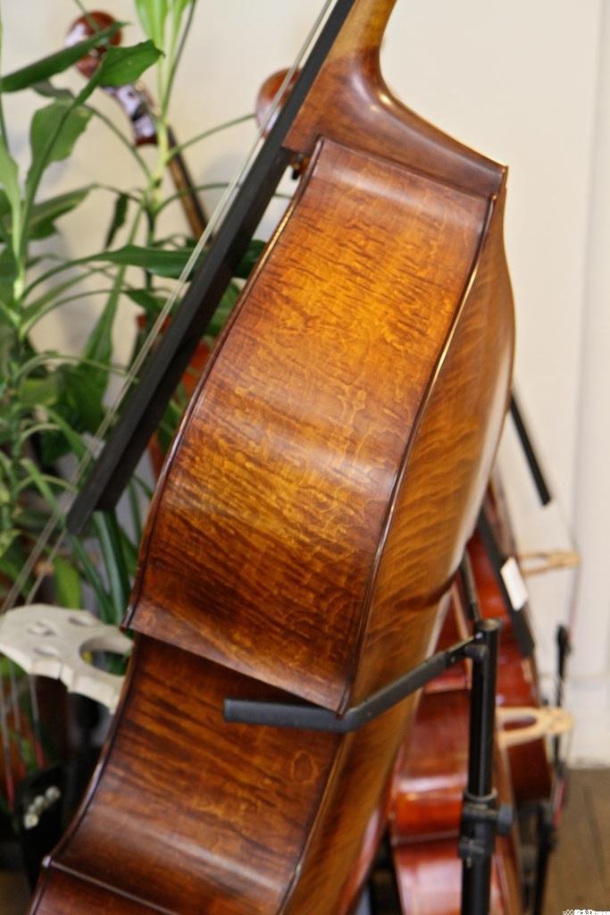 Archet Pour Contrebasse 3/4 - Bois Du Brésil, Crin De Mongolie, Grenouille ébène - Qualité Pro Pour Musiciens